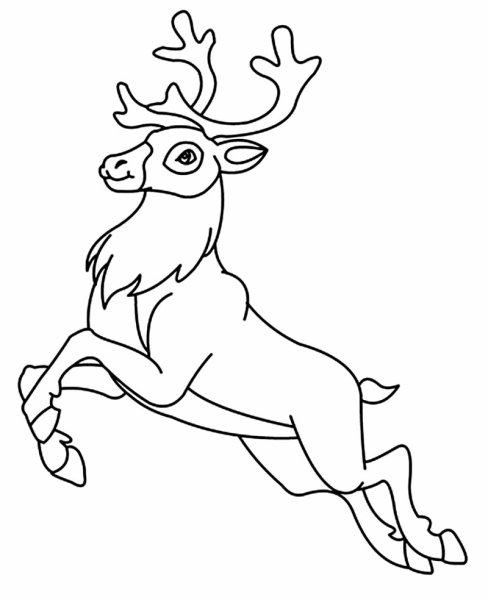 Рождественский олень раскраска