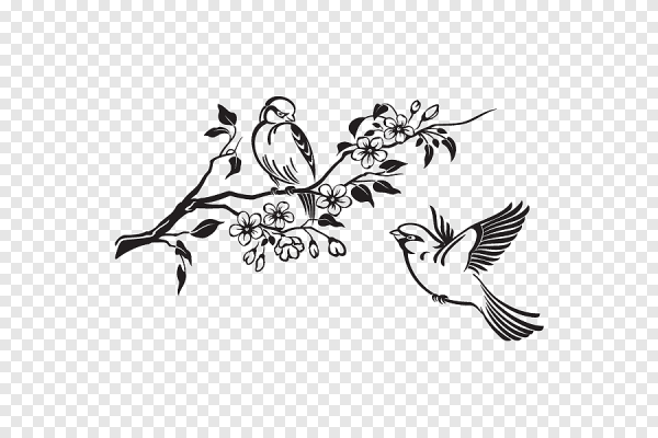 Птица на ветке эскиз