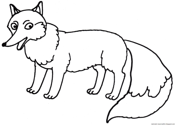 Раскраска лисы