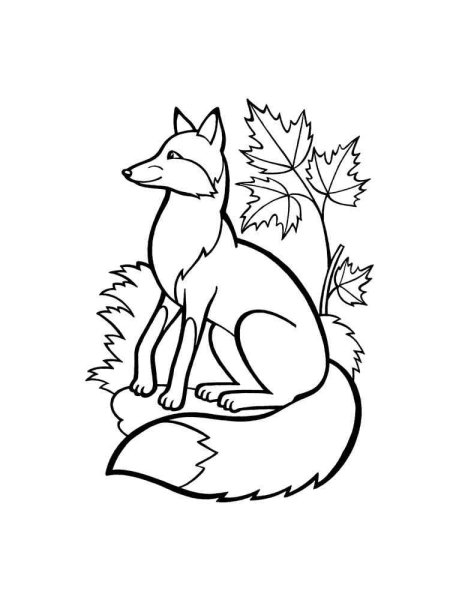 Контур лисы