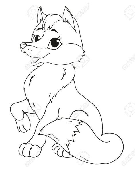 Раскраска лиса