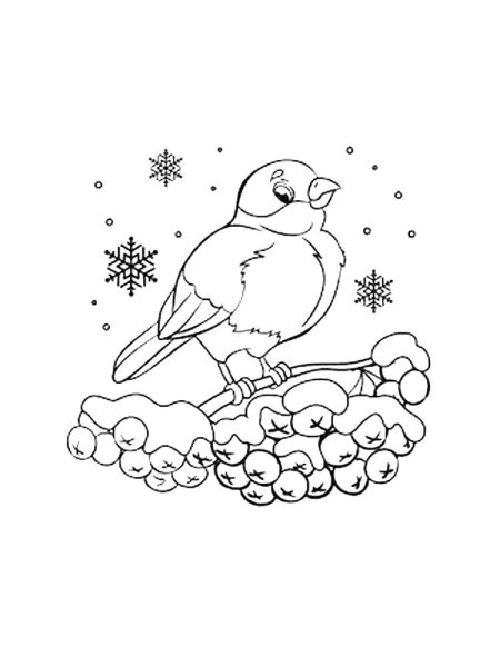 Разукрашка Снегирь для детей