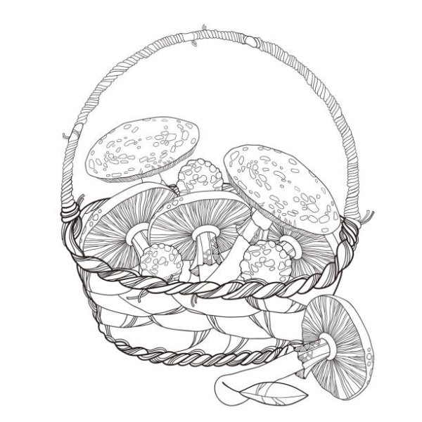 Корзинка с грибами раскраска