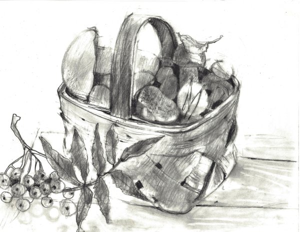 Корзина с урожаем раскраска