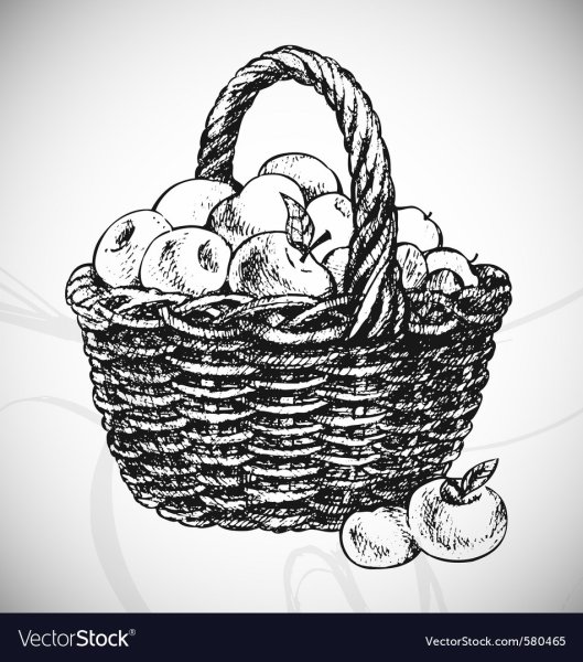 Корзинка с ягодами и грибами раскраска