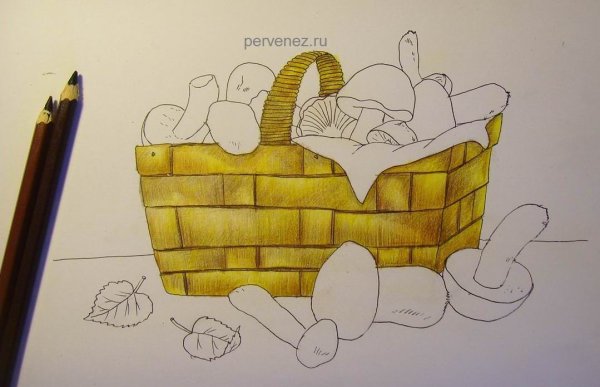 Раскраска лукошко с ягодами