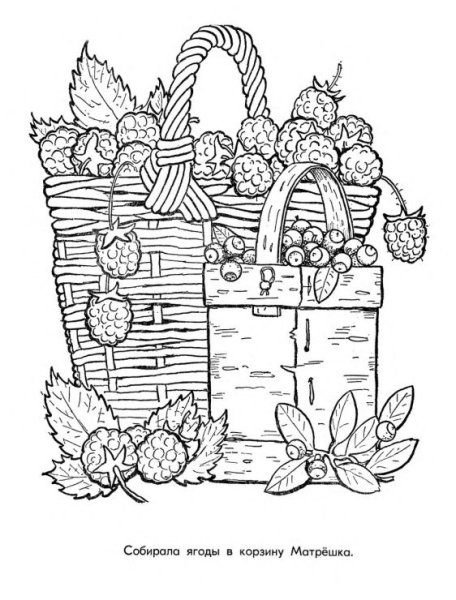 Грибы на Поляне раскраска