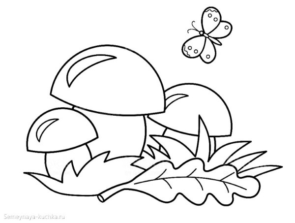 Лукошко с грибами раскраска