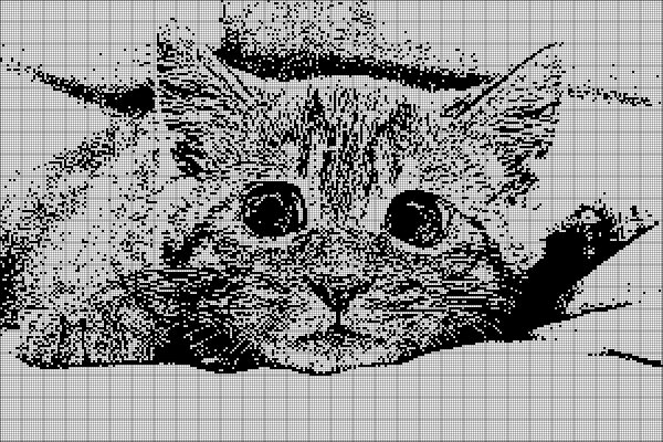 Монохромная вышивка кошки