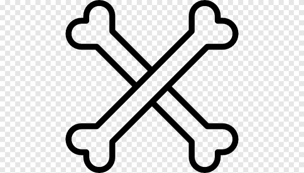 Косточка векторное изображение