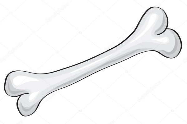 Кость на белом фоне