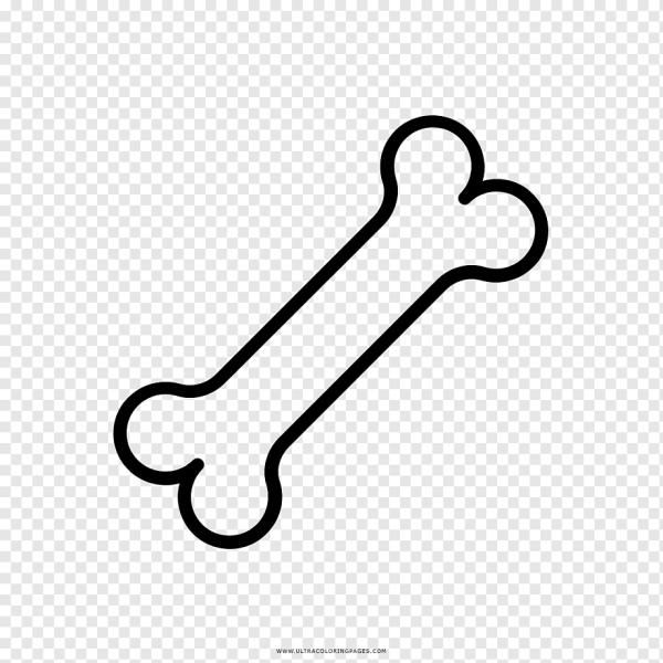 Кости рисунок