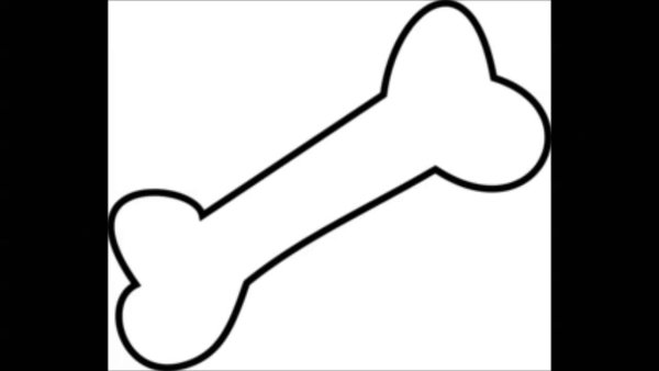 Косточка раскраска