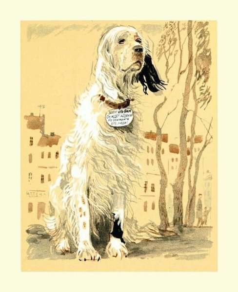 Белый Бим черное ухо иллюстрации к книге