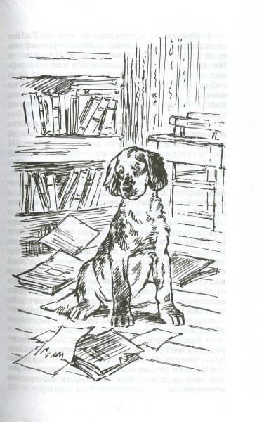 Троепольский белый Бим черное ухо иллюстрации