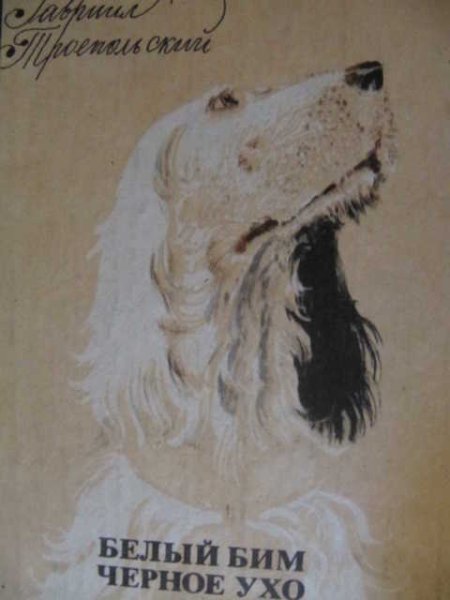 Белый Бим черное ухо раскраска