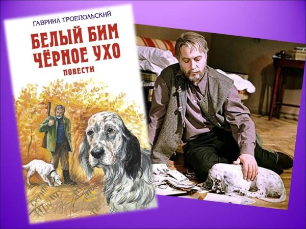 Проект белый Бим черное ухо