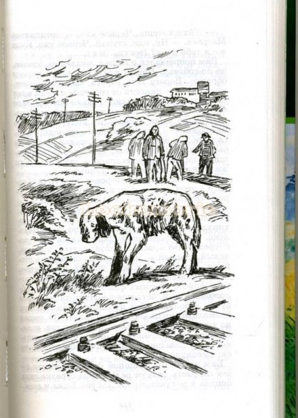 «Белый Бим, чёрное ухо» г.н. Троепольского