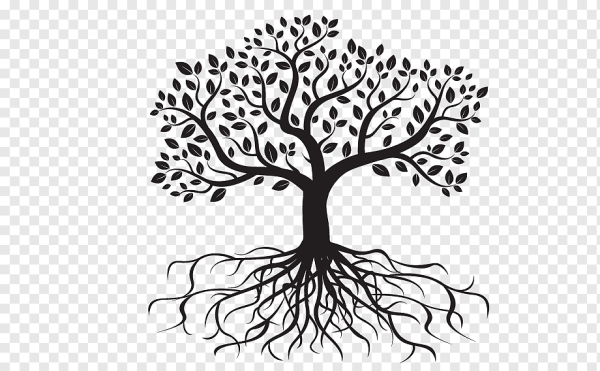 Дерево рисунок