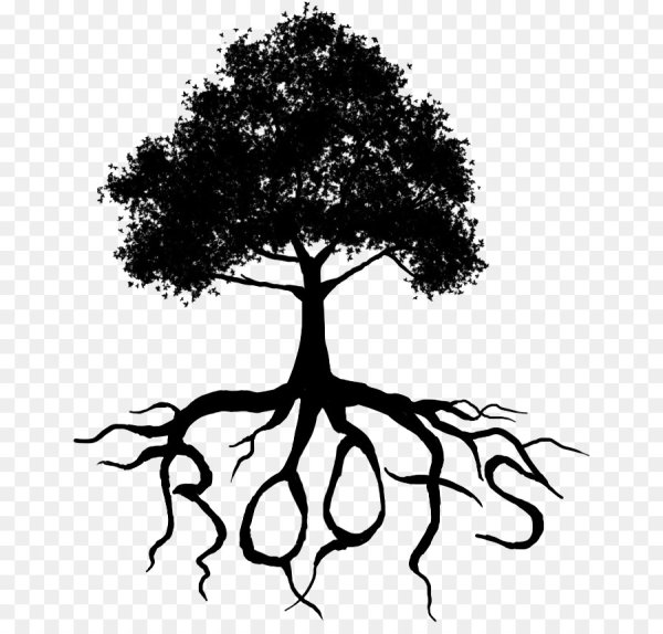 Корни силуэт