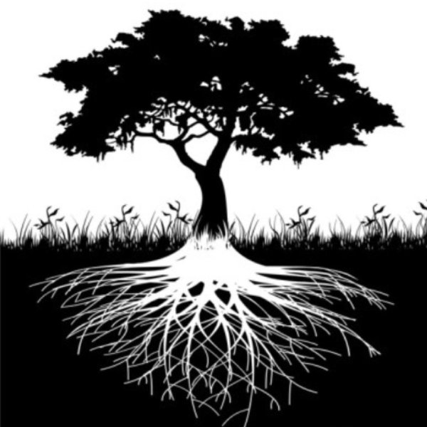 Дерево с корнями силуэт