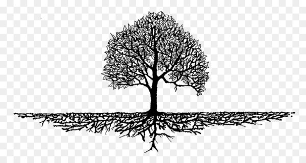 Дерево с корнями на прозрачном фоне