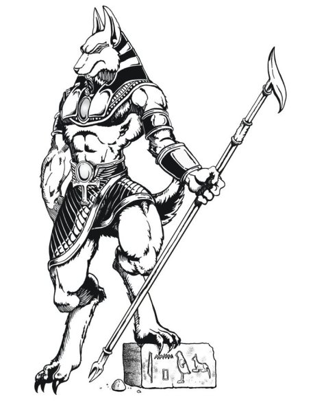 Анубис контур