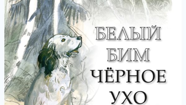 Белый Бим чёрное ухо Гавриил Троепольский