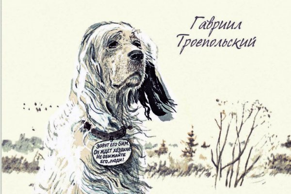 Белый Бим черное ухо рисунок