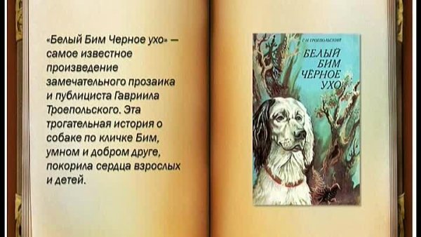 «Белый Бим, черное ухо», г.н. Троепольский