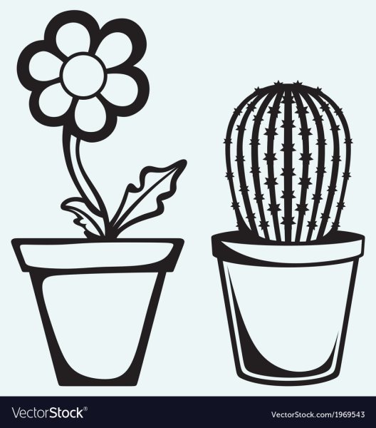 Раскраска Кактус в горшке