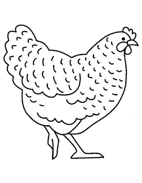 Курица раскраска