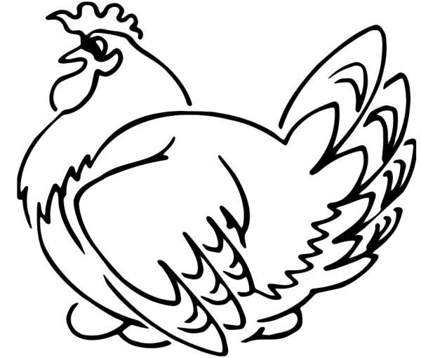 Курица контур
