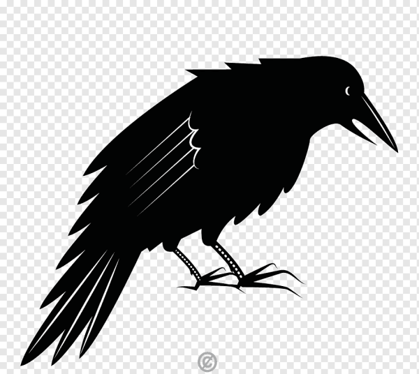 Ворон трафарет