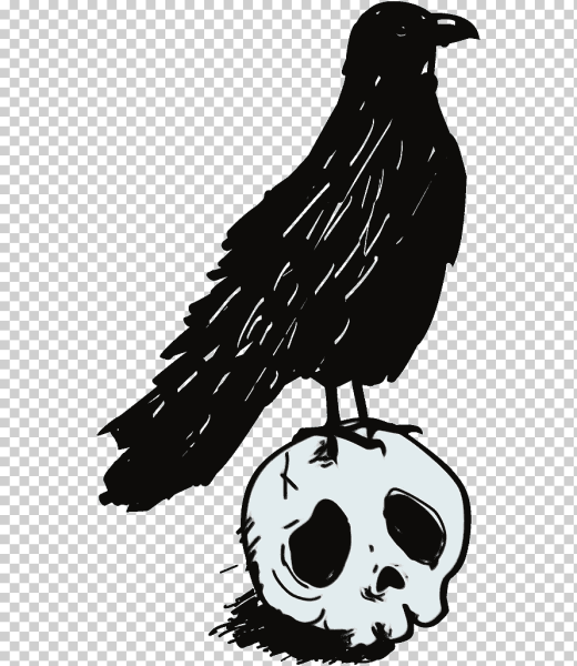 Ворон черно белый рисунок