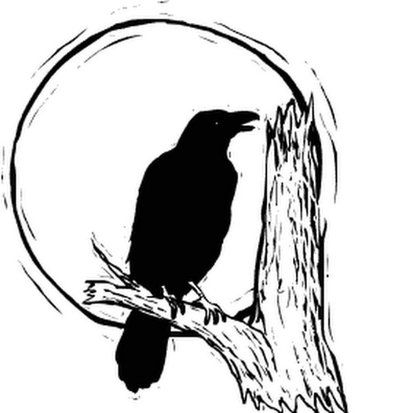 Ворон контурный рисунок