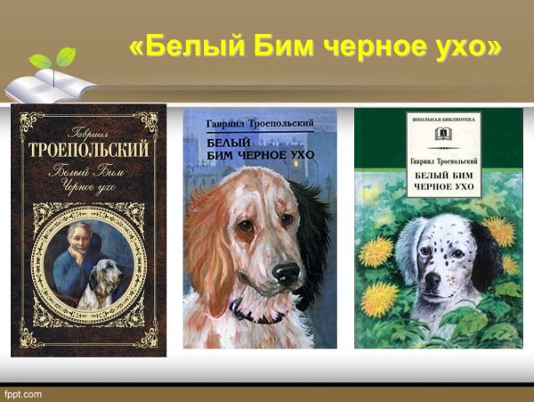 Троепольский белый Бим книга