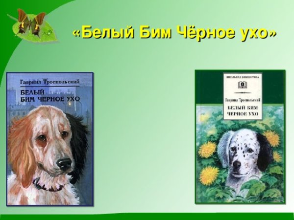 Белый Бим черное ухо Автор произведения