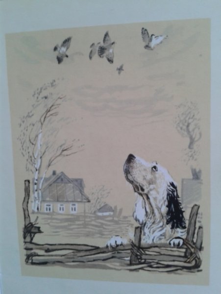 Белый Бим чёрное ухо Гавриил Троепольский