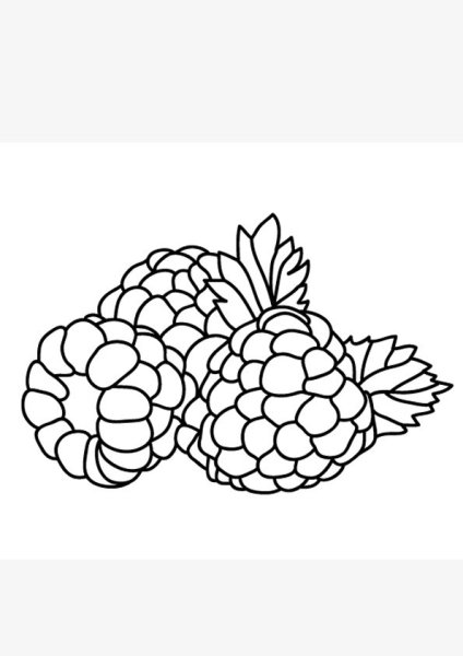 Ягоды гравюра