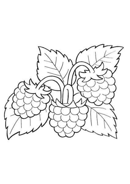 Раскраска "ягоды"