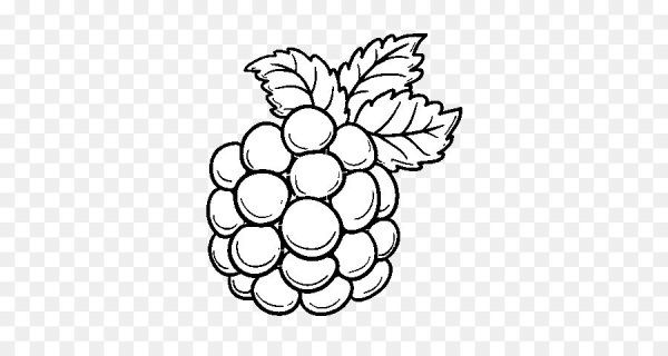 Ягоды Графика