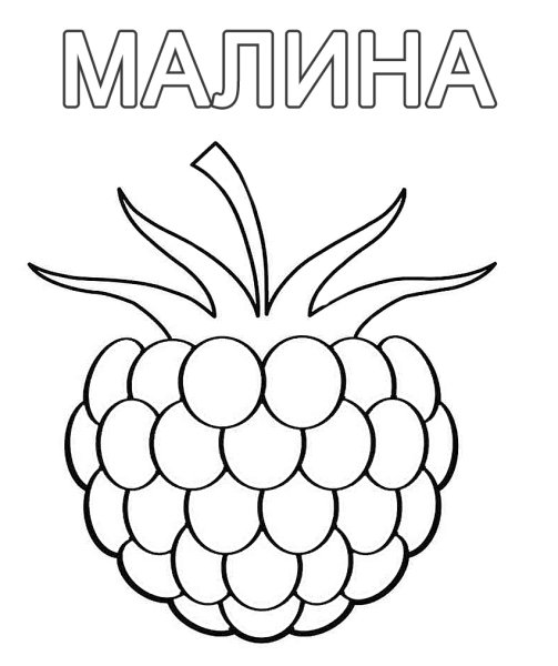 Куст малины раскраска