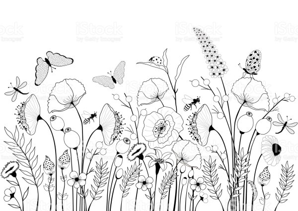 Луг с цветами для раскрашивания