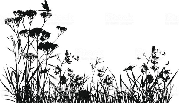 Луговая трава силуэты