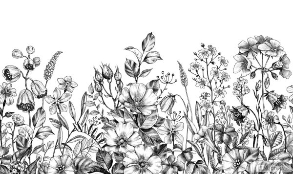 Монохромный узор полевые цветы