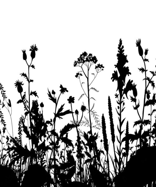Трава силуэт