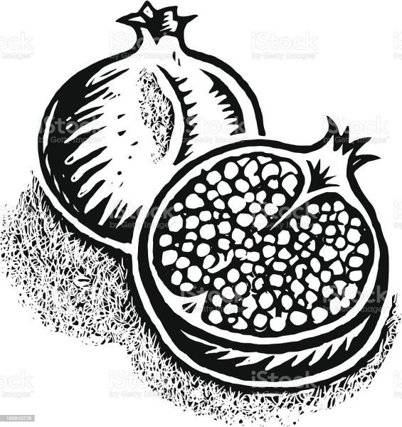 Эскиз граната фрукт