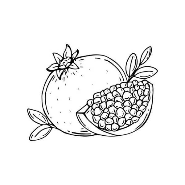 Гранат вектор