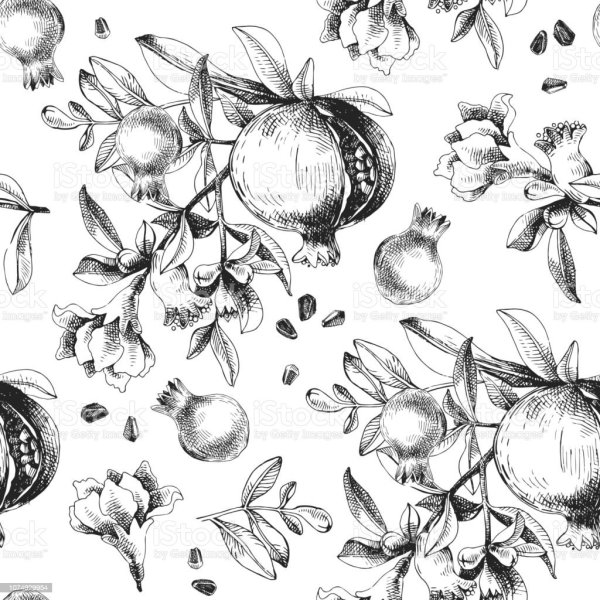 Гранат в графике